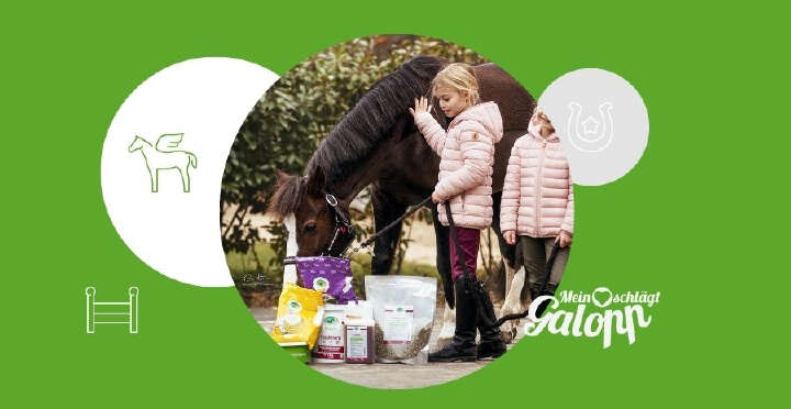 galopp banner sortiment 900x465px